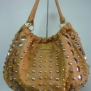 2629-APRICOT